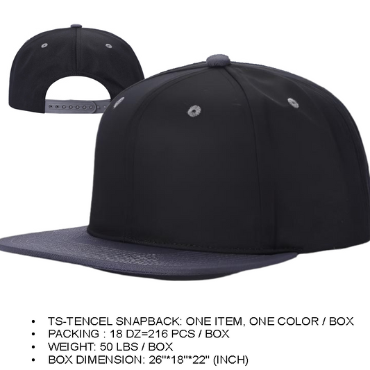 TS - 2TONE Tencel Snapback