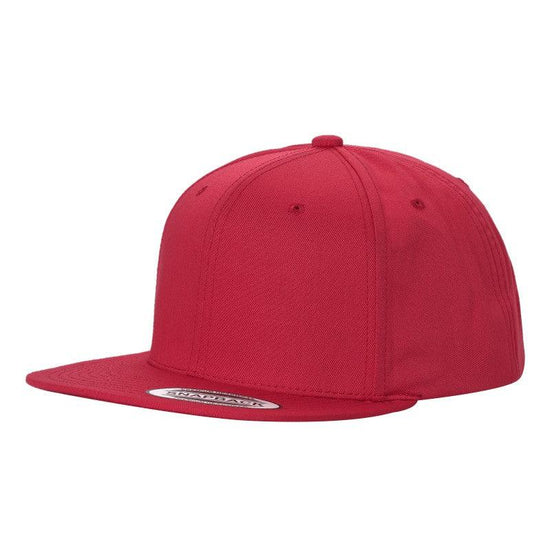 TS - 2-Tone Tencel Snapback